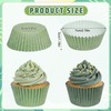 Glavatrix Sage Green Cupcake Liners 200Ct Baking Cups Wedding Party