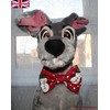 New Dogs Bow Tie CHRISTMAS Elastic Band attach COLLAR ACCESSORY