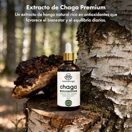 Chaga (Inonotus Obliquus) - Extracto Líquido de Abedul Silvestre | Tintura de Doble Extracción | Apoyo Nutricional para la Vitalidad y el Bienestar Ge