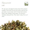 Spearmint Organic Leaf Herbal Tea - Mentha Spicata - Morrocan
