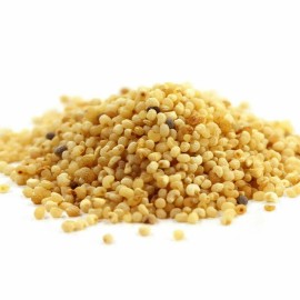 NY Spice Shop Poppy seeds Red Poppy Papaver Premium Quality FREE SHIP - 0.5 Pound