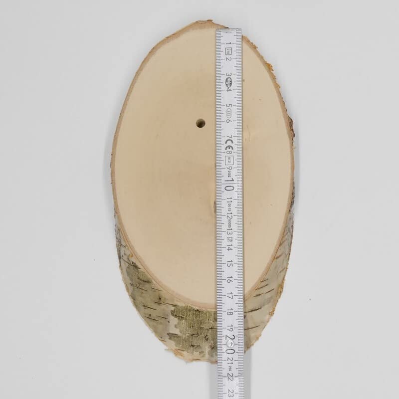 Birch Trophy Sign Deer Antlers Tree Disc Tree Sign AF