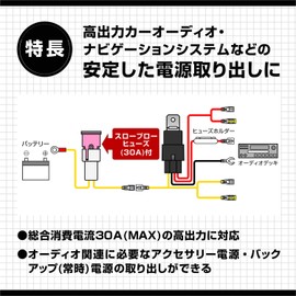 Amon 4968 Aodea Power Cable with Relay 30A MAX