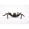 Safari Wolf Spider, Hand Painted, Realistic Figurine, Model, Gift 5"