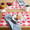 MARTHA STEWART Americana Star Gingham Plaid Indoor Placemat 4-Pack Set,