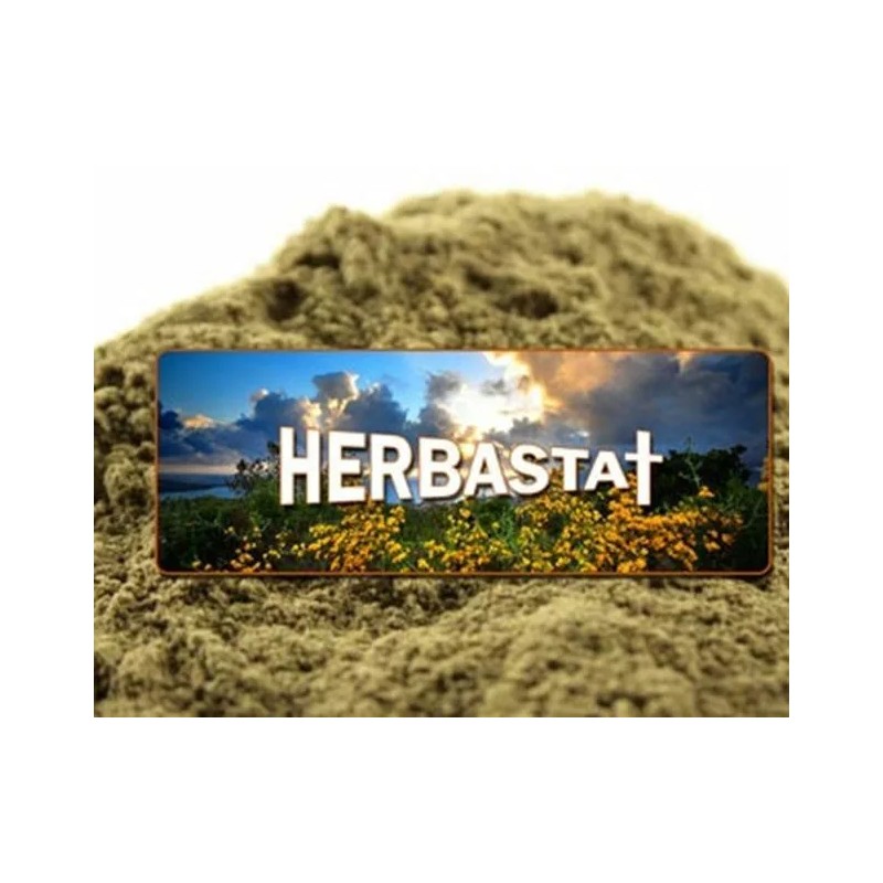 Herbs for Your Immune System - Small