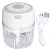 Mini Electric Garlic Chopper Large Capacity Powerful Motor 304 Stainless
