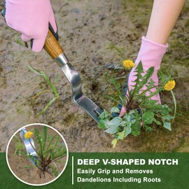 Weed Puller Tool, Hand Weeder with Good Leverage for Easy Pulling Weeds, Heavy Duty Stainless Steel Dandelion Puller Tool, Weed Digger Fork with Comfortable Wood Handle for Removal Dandelion crabgrass