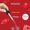 Vegavero Vitamin B12 Liquid | 50 ml (500 Days Supply)
