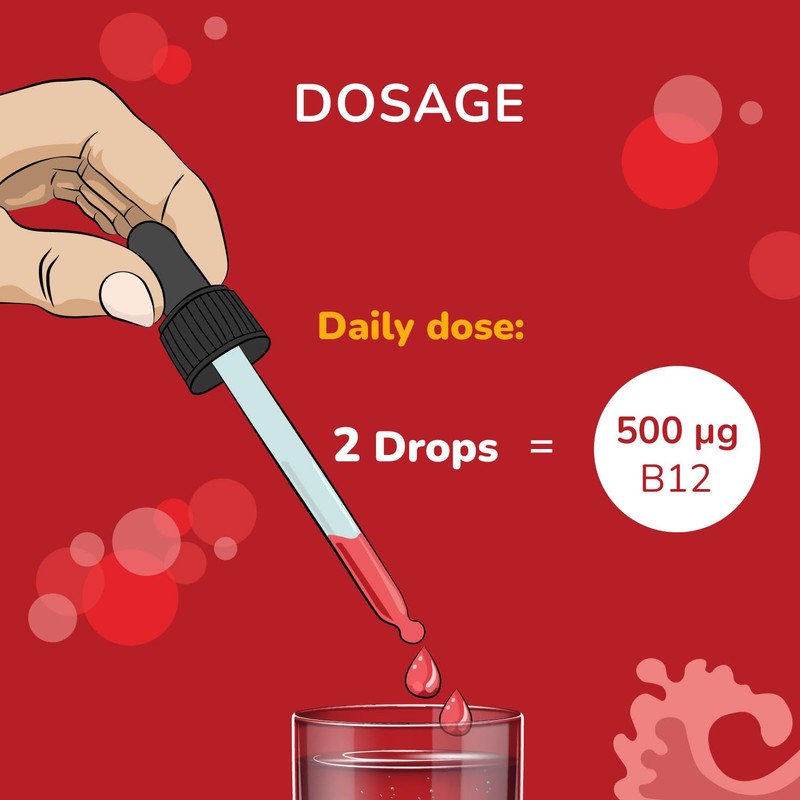 Vegavero Vitamin B12 Liquid | 50 ml (500 Days Supply)