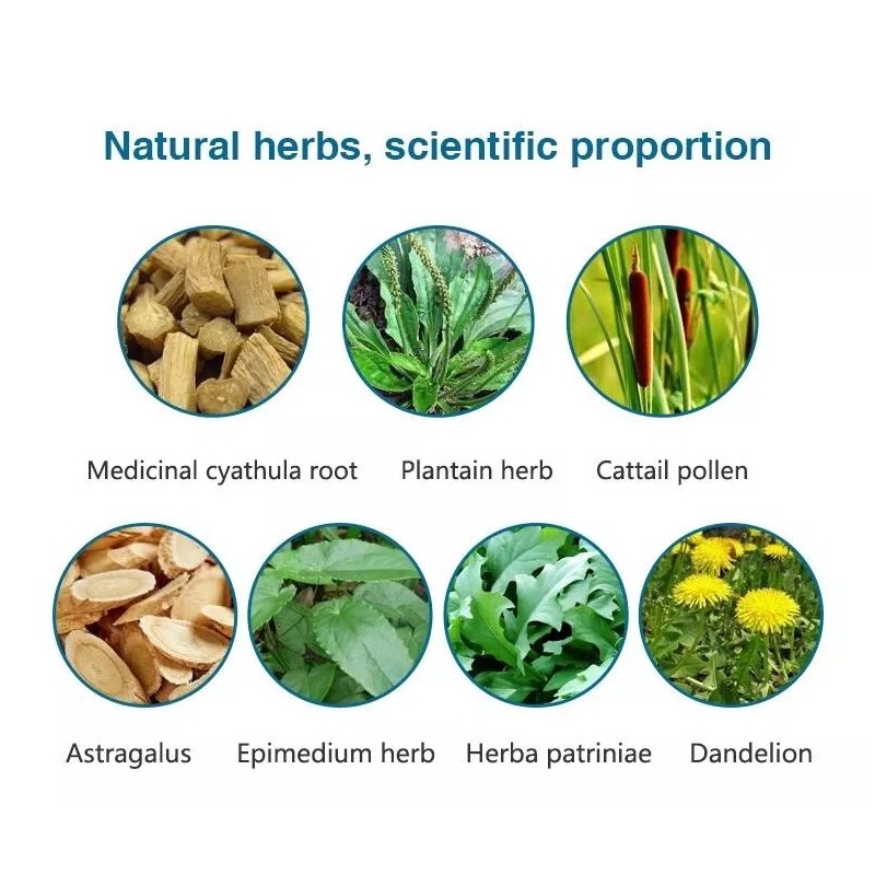 Maani Essence PROSTATE TEA - Reduces inflammation of the prostate