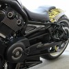 FTKDMT Motorcycle Side Frame Covers Fit For Harley V-ROD NIGHT-ROD