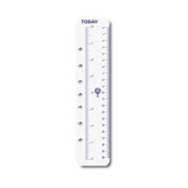 Today Ruler (Pack of 2) for Personal Size Personal Organiser (6 Ring Mechanism)