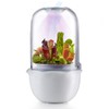 Ronjregan Smart Planter with Timer and Fan, Small Terrarium Kit