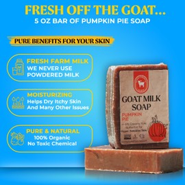 Honey Sweetie Acres Fresh Off The Goat All Natural Moisturizing 5 Oz Bar Of Handmade Pumpkin Pie Goat Milk Soap