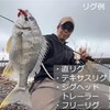 Berkley Gulp! SW Fat Hog 2.2 New Penny Sea Bream