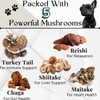 Dogs Immune Support Mushroom Supplement - Supports Longevity, Cognition, Joint,