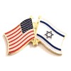 National Country Flag & US Crossed Double Flag Lapel Pins,