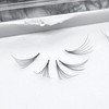GorgeousLash 1000 Premade Lash Fans. 10D, 8D, 7D, 6D, 5D,