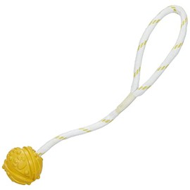 Trixie 33481 Ball am Seil, Naturgummi, schwimmt, ø 4,5/35 cm
