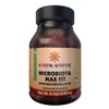 Essential Nutrition, Microbiota Max Fit 30 Cápsulas Veganas de 500