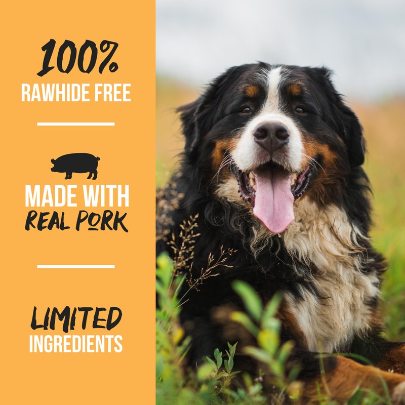 Grillerz Large Pork Bone, 1 Count, Rawhide Free, All Natural