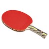 GKI Offensive XX Table Tennis Bat
