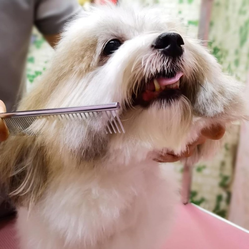 犬用グルーミングはさみ 犬用グルーミングはさみキット ペットトリミングセット ハサミ ペット用 鋭くて丈夫なペットグルーミングはさみ 犬と猫用 ストレートバサミ/カーブバサミ/長い 短い毛用 (ピンク)