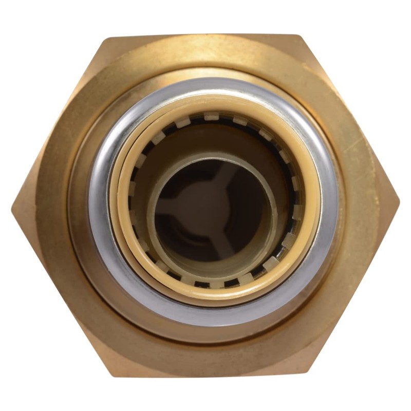 Cash Acme 1 Inch x 3/4 Inch BF5 Dual Check