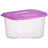 Tupperware Freezer Mate Container, 650ml, 1-Piece (Colors may Vary)