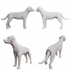 LoveLongLong Dog Jumpsuit with UV Protection and Quick-Dry Fabric for