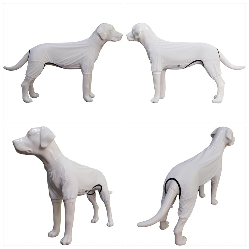 LoveLongLong Dog Jumpsuit with UV Protection and Quick-Dry Fabric for