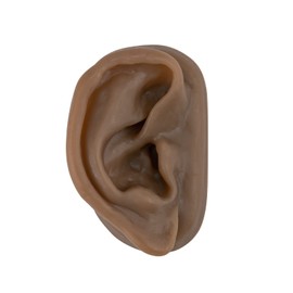 SimCoach Modelo de oreja de acupuntura, réplica de oreja artificial derecha para enseñanza de terapia auricular, práctica de perforación, audífonos, exhibición de joyas (negro)