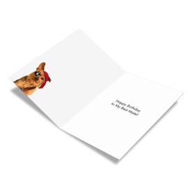 NobleWorks - 1 Cute Birthday Card with Envelope - Funny Wild Animals and Pets, Birthday Greeting - Pirate Dog C3207BDG