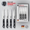 Baccarat Wolfgang Starke Steak 4 Piece