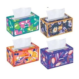 Trusted Care Facial Tissues, 4 Big Boxes, 230 Tissues Per Box - 2-Ply, Soft & Absorbent (920 Total), Packaging May Vary