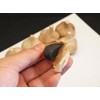 BUONAGIORNATA Black Garlic from Aomori Prefecture, 17.6 oz (500 g)