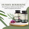 Hurbix Berberine - 1300 mg | 5 in 1 Enhanced