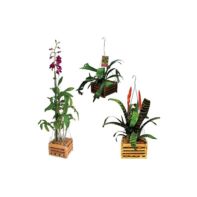 4" Natural Wooden Square Hanging Basket Outdoor Garden Planters 2-Pack