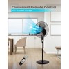 BLACK+DECKER 16 Inches Stand Fan with Pedestal Base, Height Adjustable