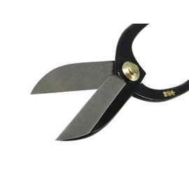 Young Lion No. 725017 Ikenobo Shears All Steel 6.5 inches (165 mm)