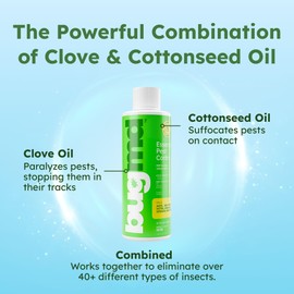 BugMD Ant Killer & Bug Spray Concentrate - Indoor Cockroach and Roach Killer, Spider Spray for Home, Fly and Insect Defense, Essential Oils, Plant-Powered, Eco-Friendly Pest Control - 3.7 Oz