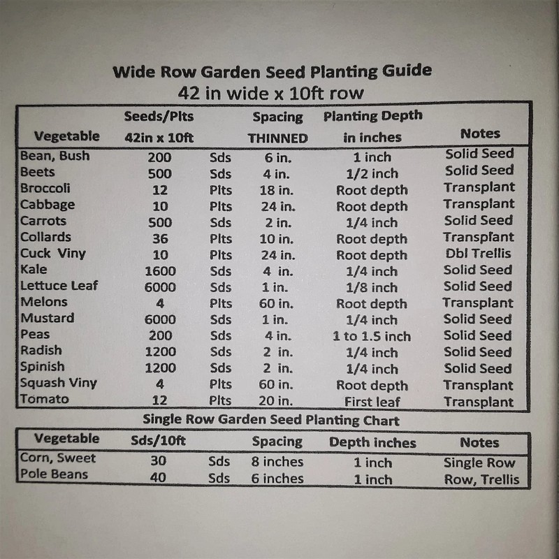 Yellow Gem Sweet Watermelon Seeds 20 Seed CT