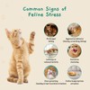 Pawith Cat Calming Diffuser – for Travel, Car & Home