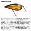 Daiwa Lure, Almond, Clear