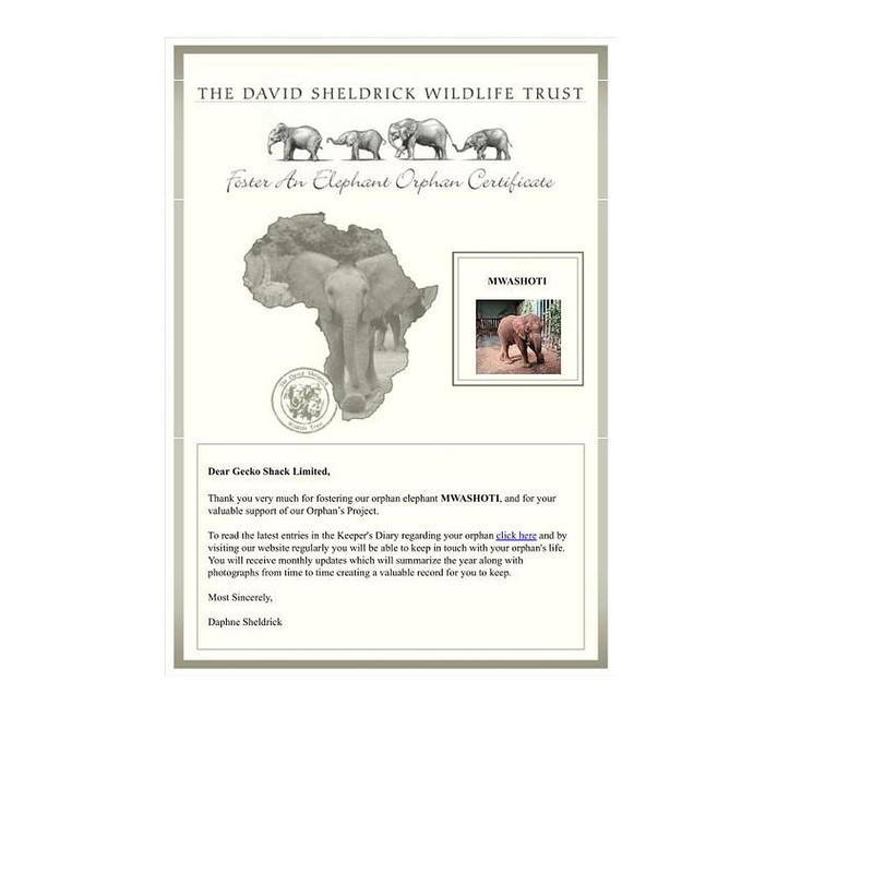 Baby African Elephant 'Missing You' Statue from Leonardo 'Out Of