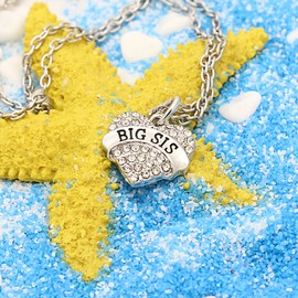 lauhonmin Family Jewelry Silver Alloy Pink Crystal Love Heart Big Sister Charm Pendant Necklace Women Gift (Clear Crystal Big Sister)