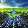 Aminoácidos De Uso Agrícola 1kg Polvo Soluble Rinde Para 3ha