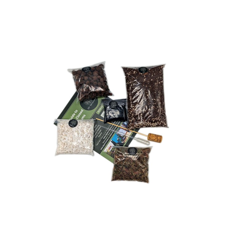 DIY Medium Open and Closed Terrarium Kit (White Pebbles)