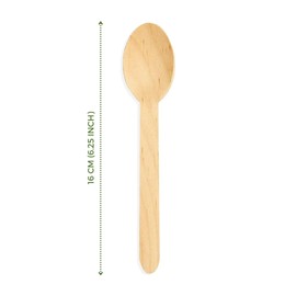 Purearth Disposable Wooden Cutlery Set - Alternative to Plastic, Eco Friendly, Biodegradable, Compostable Cutlery Pack, Natural Disposable Utensils Set (Wooden Spoons 100 Pcs)
